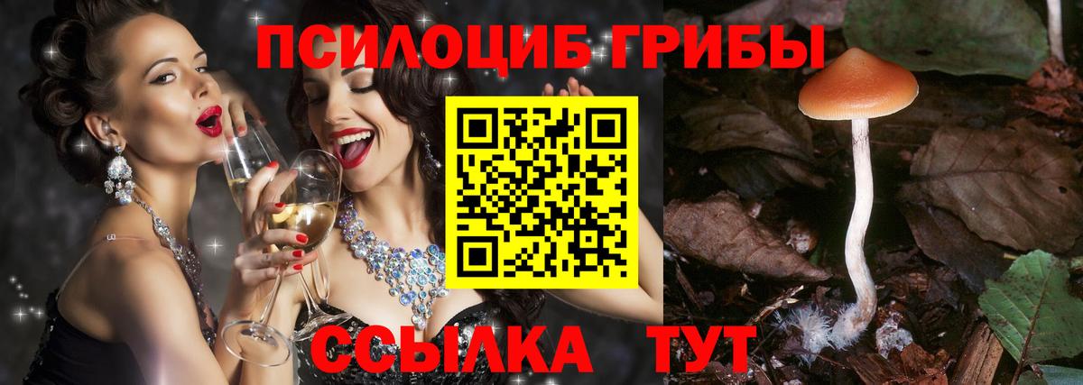 Псилоцибиновые грибы мицелий Хабаровск
